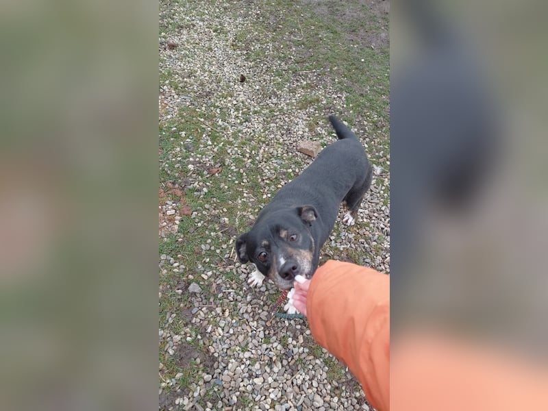 Sonnenschein Mia sucht ihr Für-immer-Zuhause 