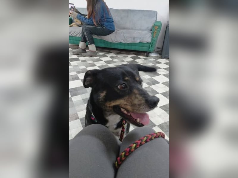 Sonnenschein Mia sucht ihr Für-immer-Zuhause 