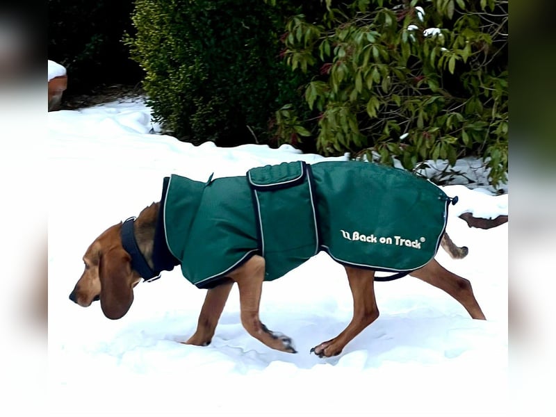 Trudi - Glück auf Lebenszeit gesucht