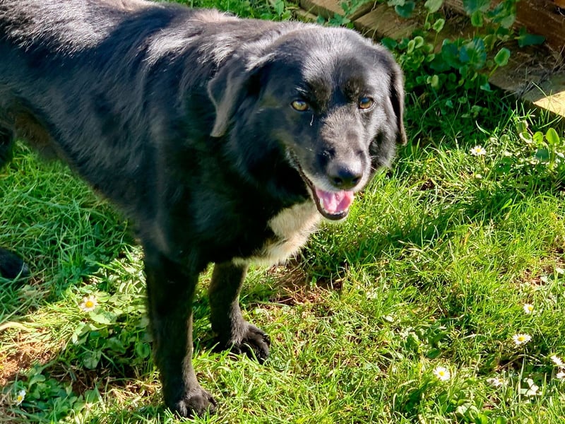 Evander ( * 01.2021 ) sucht seine Familie