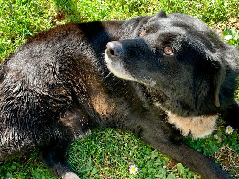 Evander ( * 01.2021 ) sucht seine Familie