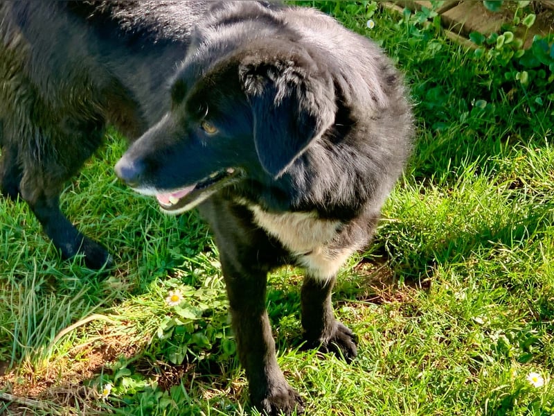 Evander ( * 01.2021 ) sucht seine Familie