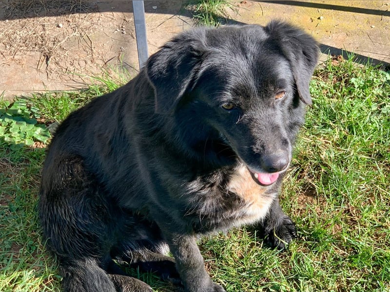 Evander ( * 01.2021 ) sucht seine Familie