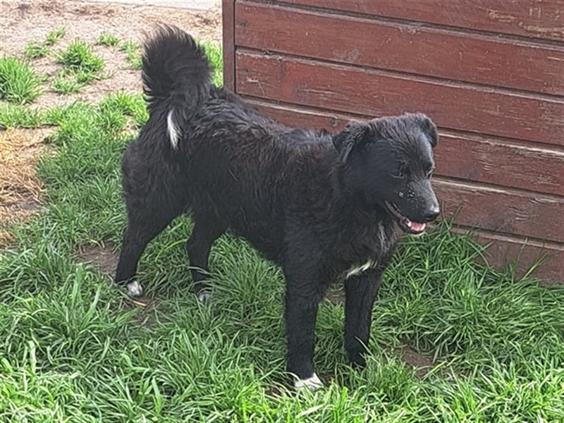 Rudi ( * 01.2022 ) sucht sein eigenes Zuhause