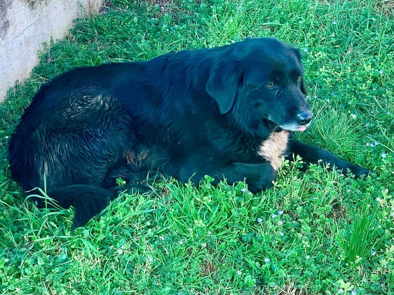 Evander ( * 01.2021 ) sucht seine Familie