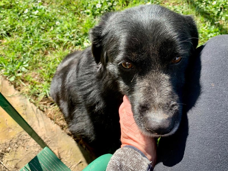 Evander ( * 01.2021 ) sucht seine Familie