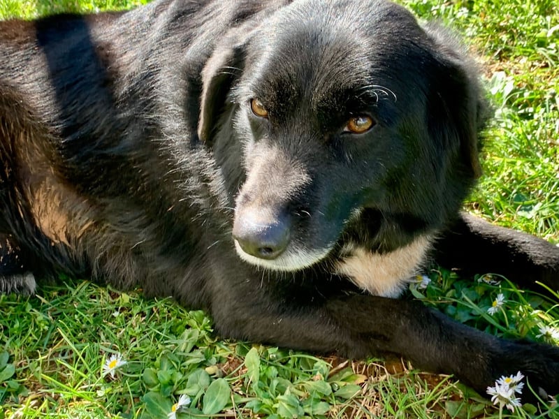 Evander ( * 01.2021 ) sucht seine Familie