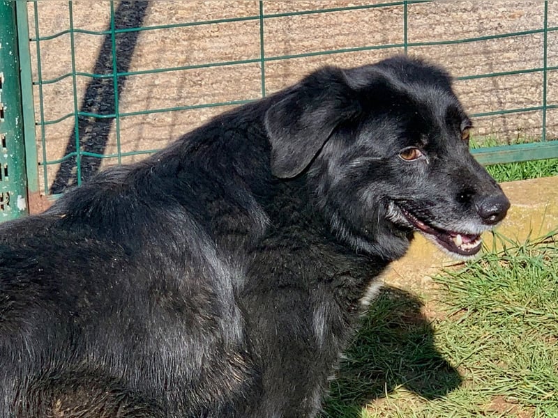 Evander ( * 01.2021 ) sucht seine Familie