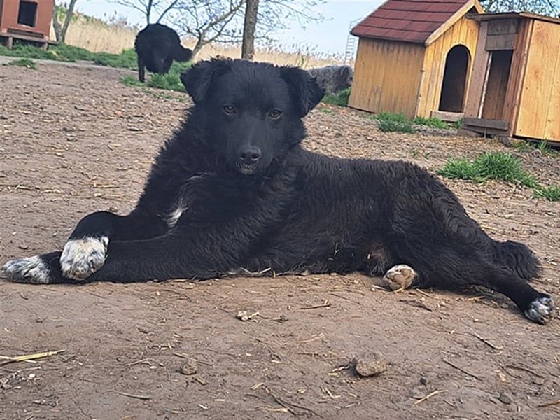 Rudi ( * 01.2022 ) sucht sein eigenes Zuhause