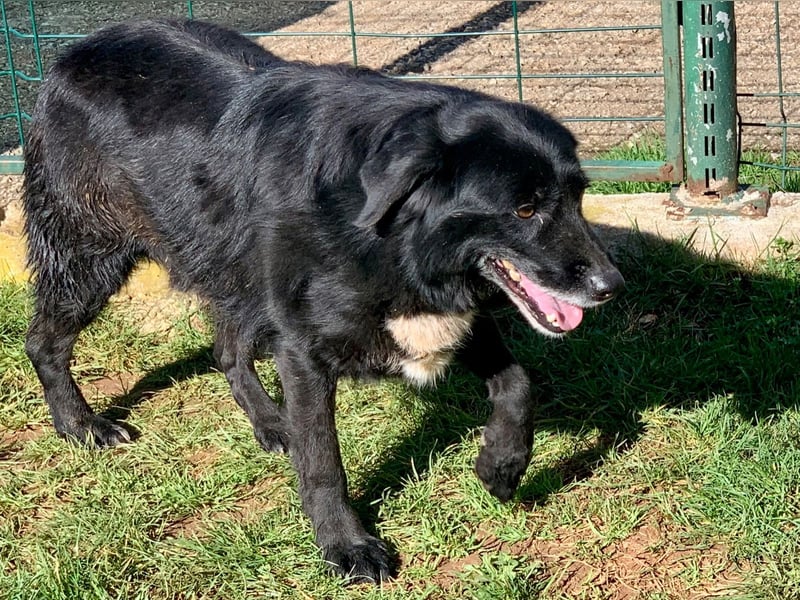 Evander ( * 01.2021 ) sucht seine Familie