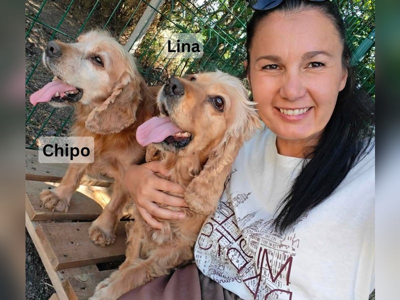 Lina