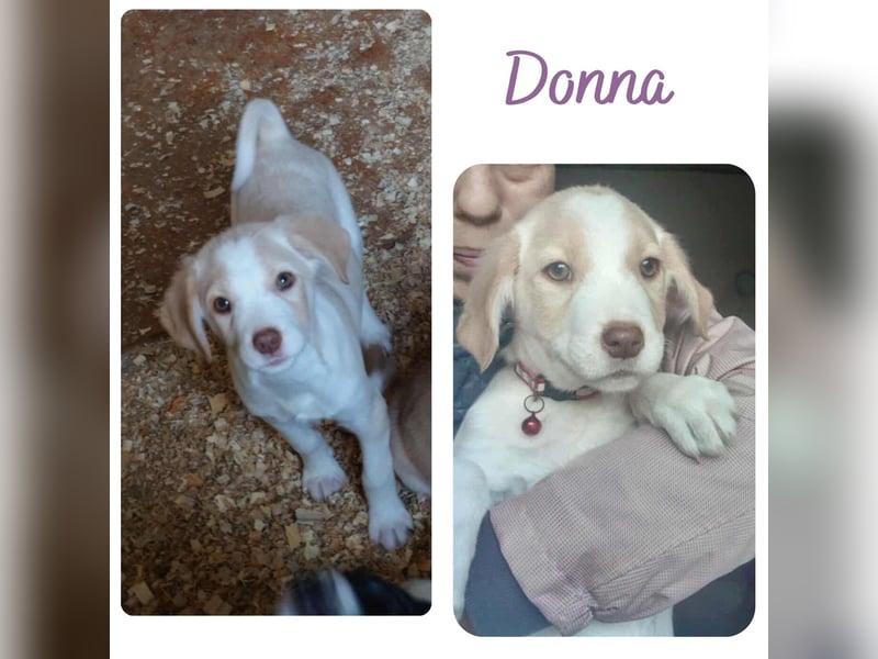 Donna
