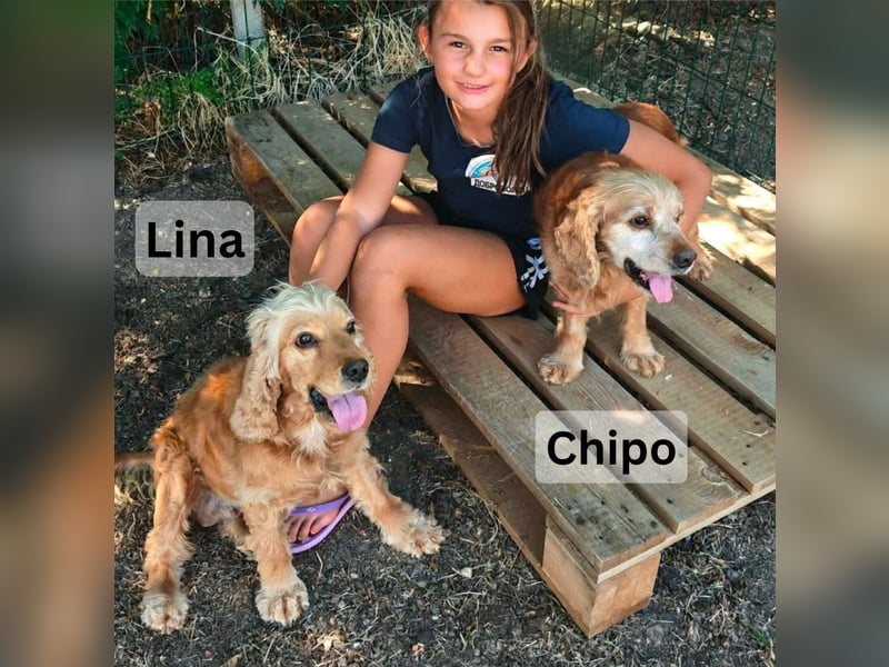 Lina