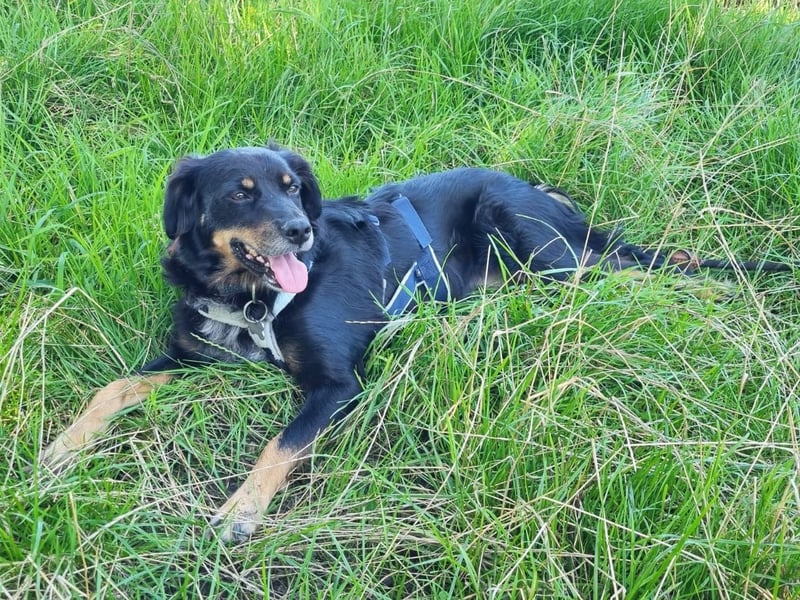 Venere - wenn Sanftmut einen Namen hätte