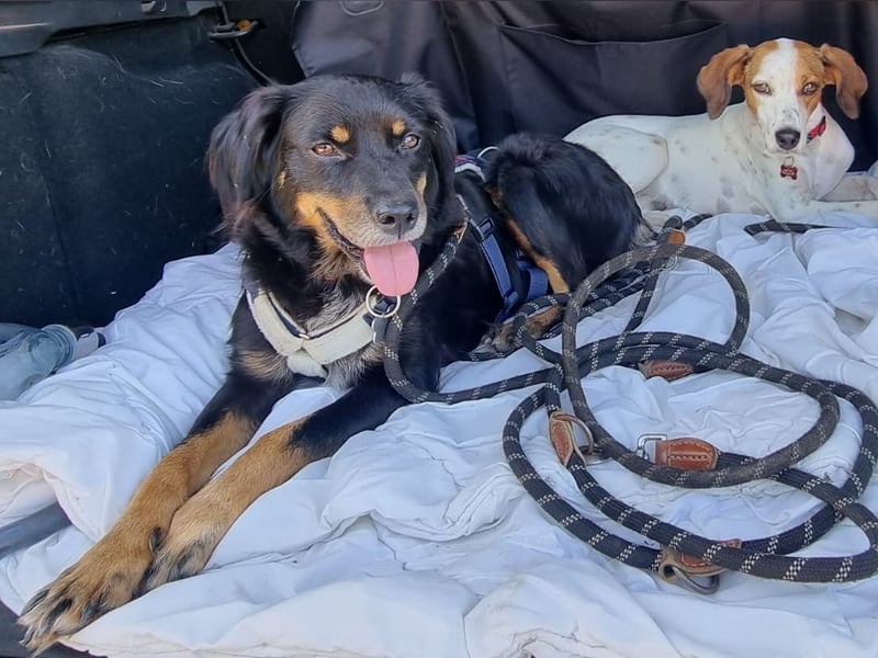 Venere - wenn Sanftmut einen Namen hätte