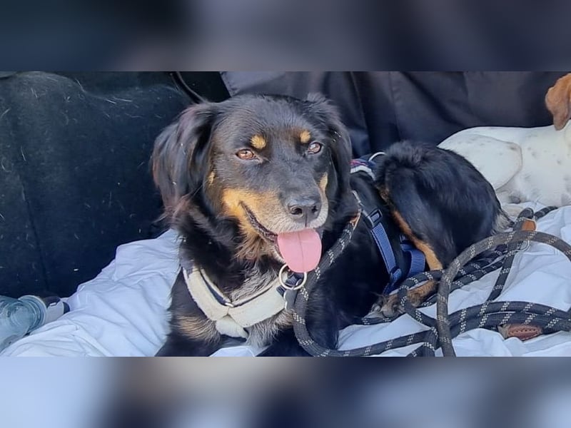 Venere - wenn Sanftmut einen Namen hätte