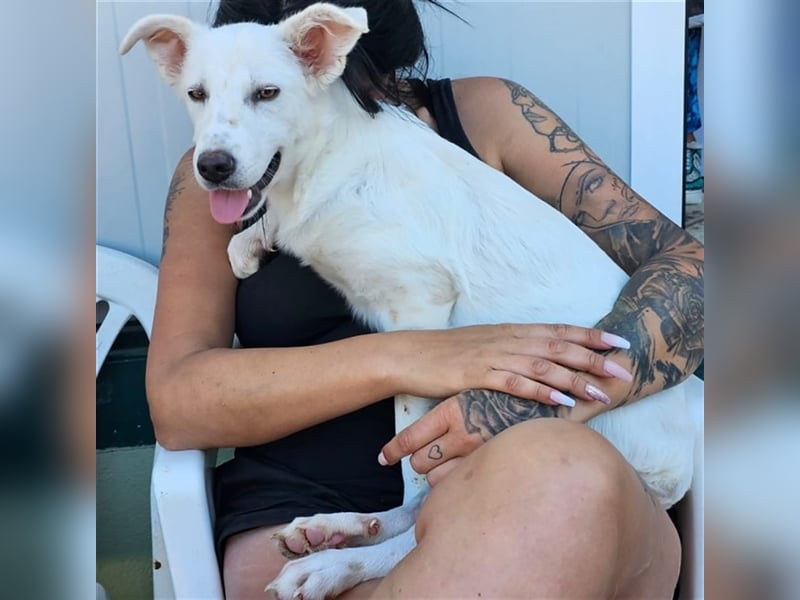 Helga - Zuckerschnute sucht Zuhause