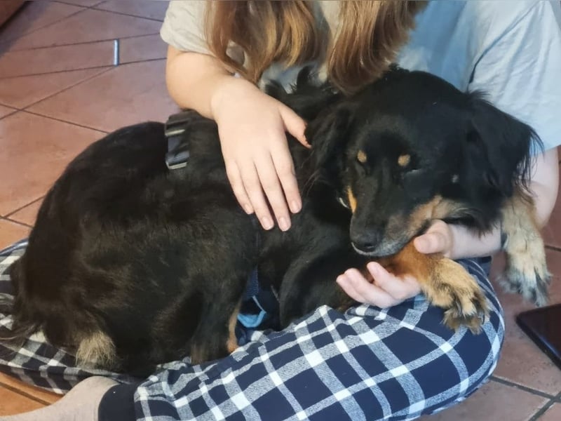 Venere - wenn Sanftmut einen Namen hätte