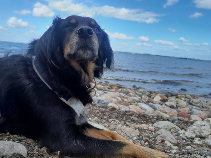 Venere - wenn Sanftmut einen Namen hätte