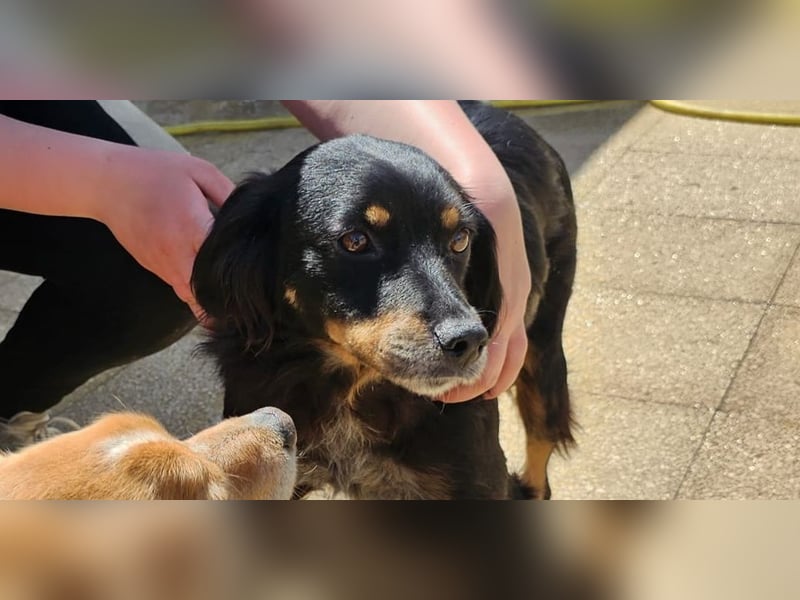 Venere - wenn Sanftmut einen Namen hätte