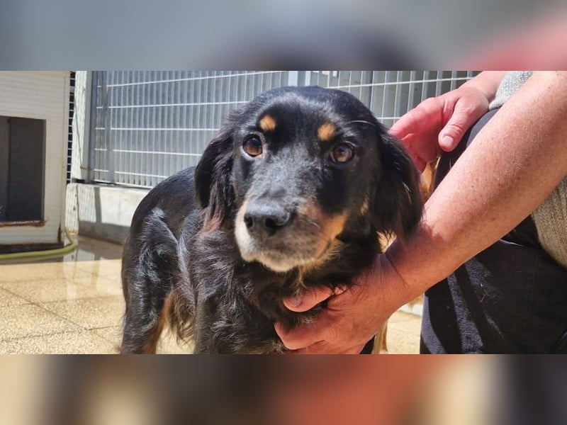 Venere - wenn Sanftmut einen Namen hätte