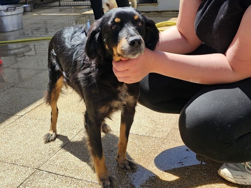 Venere - wenn Sanftmut einen Namen hätte