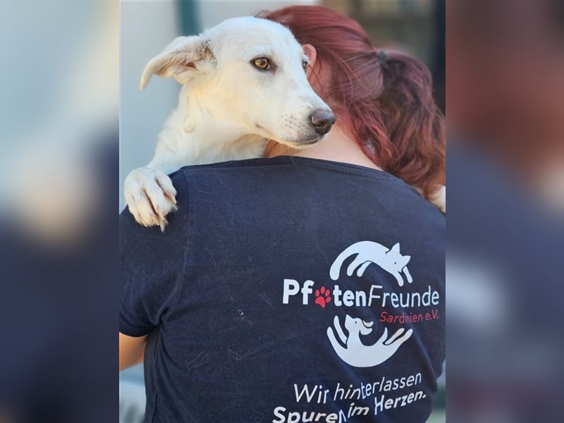 Helga - Zuckerschnute sucht Zuhause