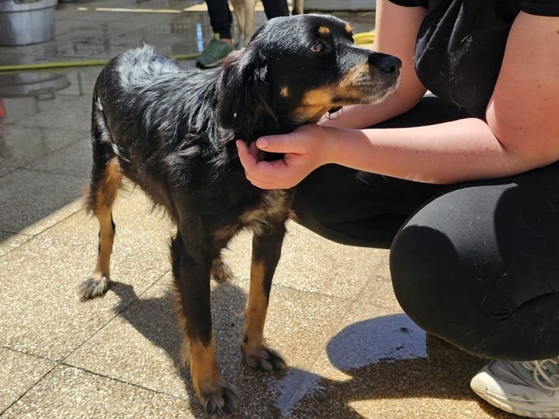 Venere - wenn Sanftmut einen Namen hätte