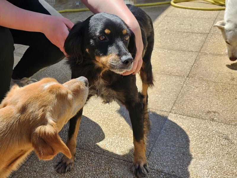 Venere - wenn Sanftmut einen Namen hätte