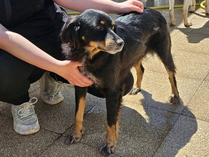 Venere - wenn Sanftmut einen Namen hätte