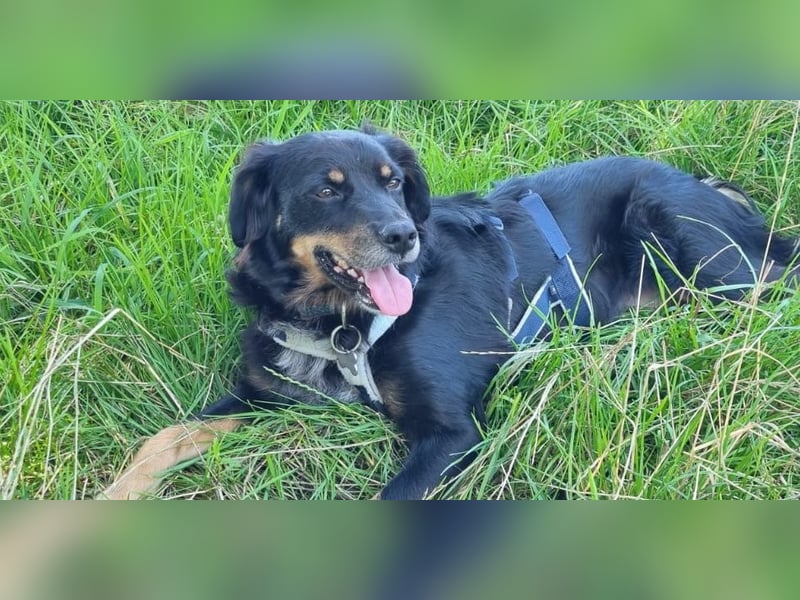 Venere - wenn Sanftmut einen Namen hätte