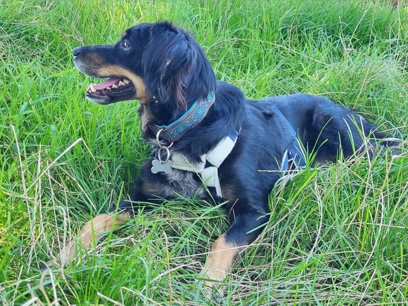 Venere - wenn Sanftmut einen Namen hätte