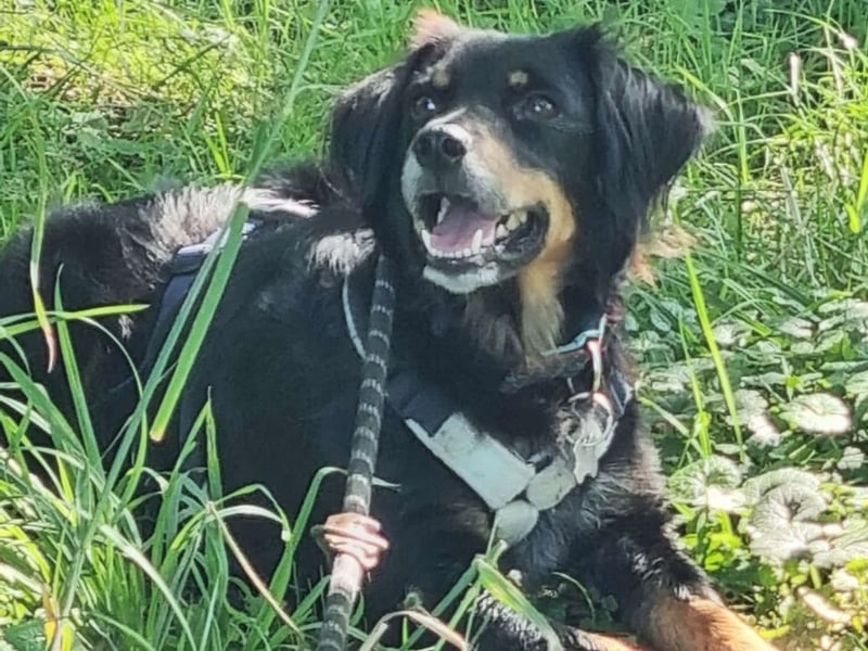 Venere - wenn Sanftmut einen Namen hätte