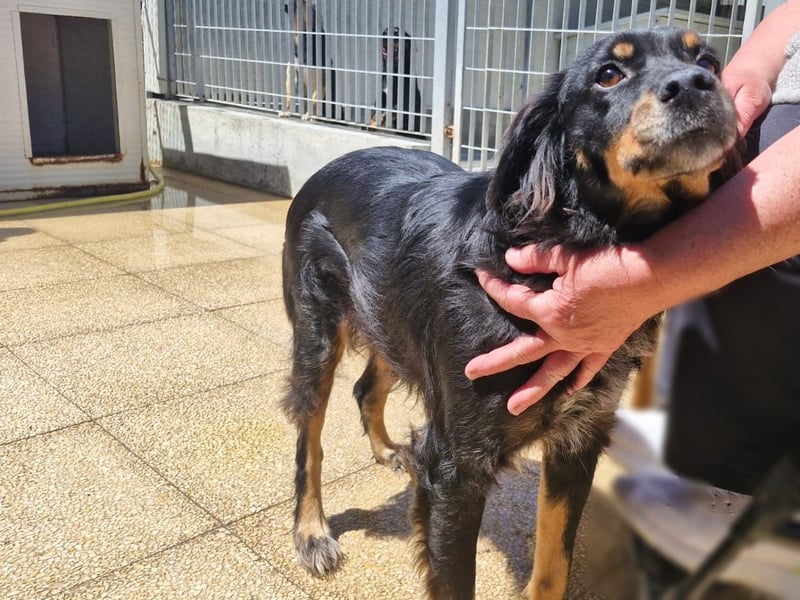 Venere - wenn Sanftmut einen Namen hätte