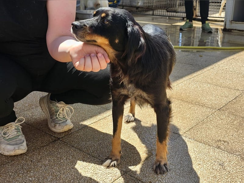 Venere - wenn Sanftmut einen Namen hätte