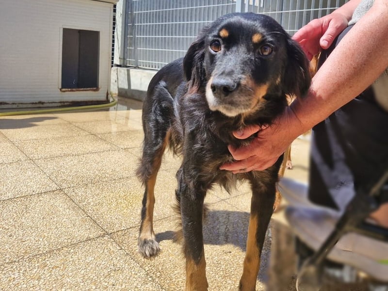 Venere - wenn Sanftmut einen Namen hätte