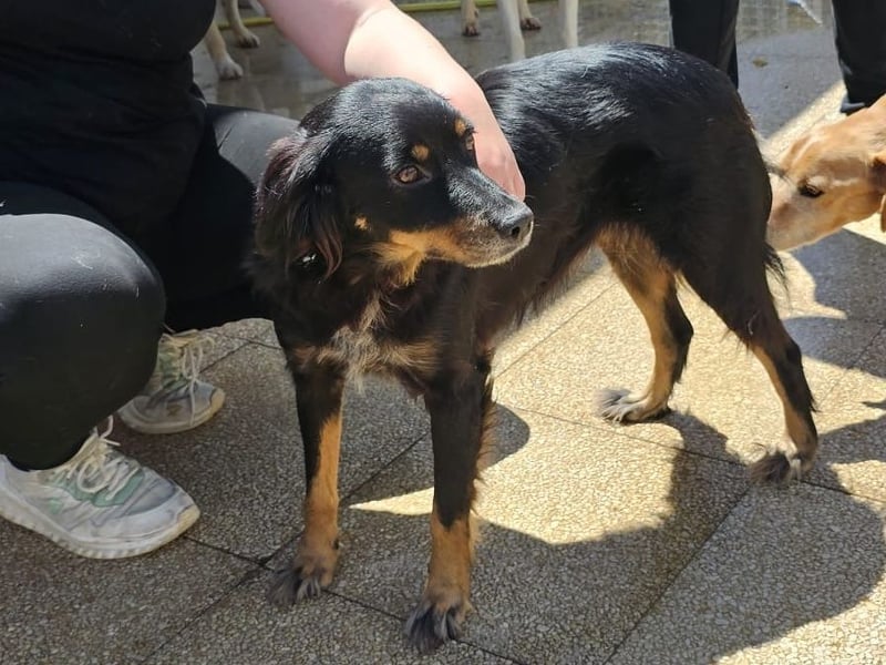 Venere - wenn Sanftmut einen Namen hätte