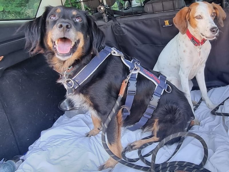 Venere - wenn Sanftmut einen Namen hätte