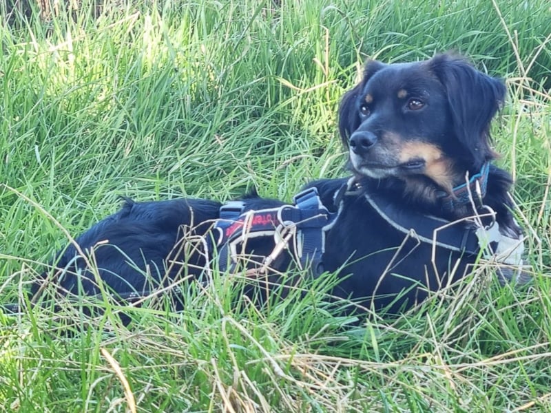 Venere - wenn Sanftmut einen Namen hätte