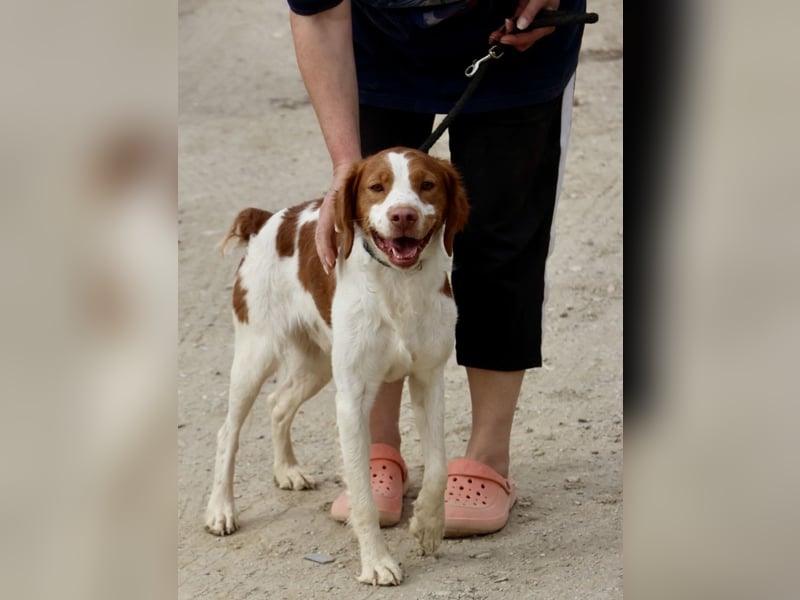 Ralf - klug, bewegungsfreudig und offen