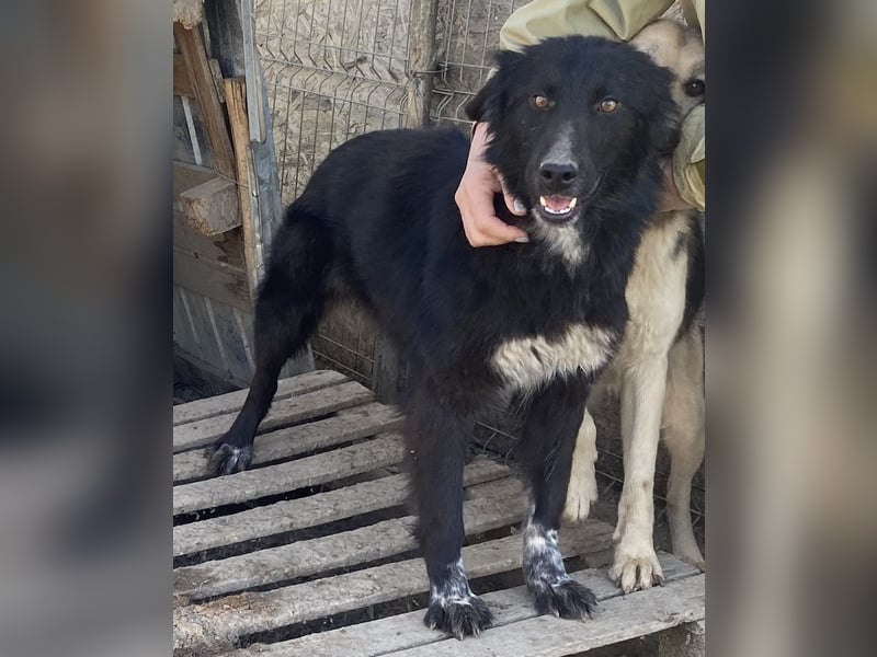 Cindy - freundlich und aufgeschlossen