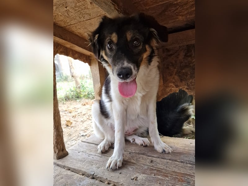 Gretchen - interessiert und neugierig