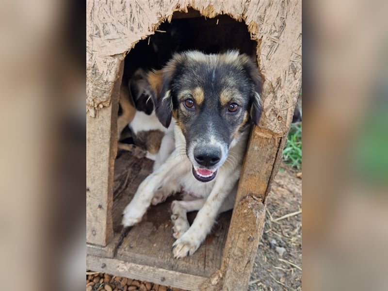 Gretchen - interessiert und neugierig