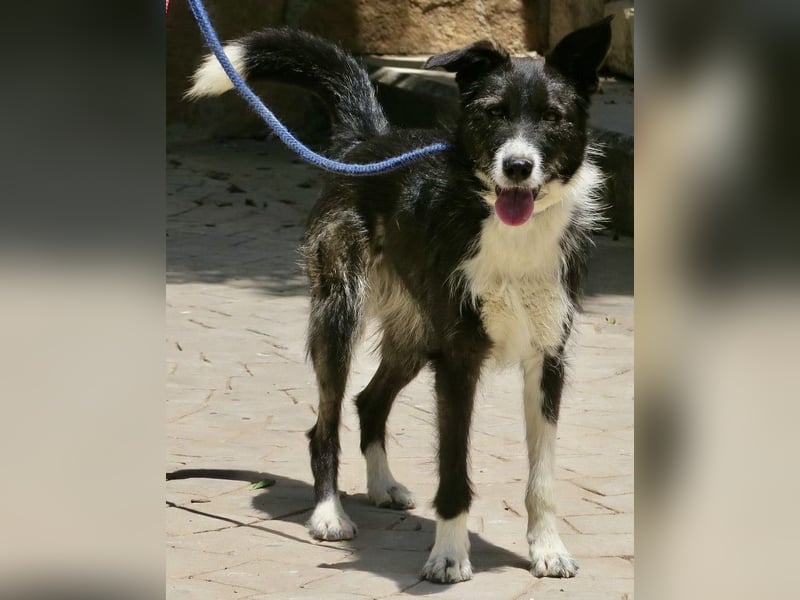 Jesika, freundlich, aufgeschlossen, neugierig