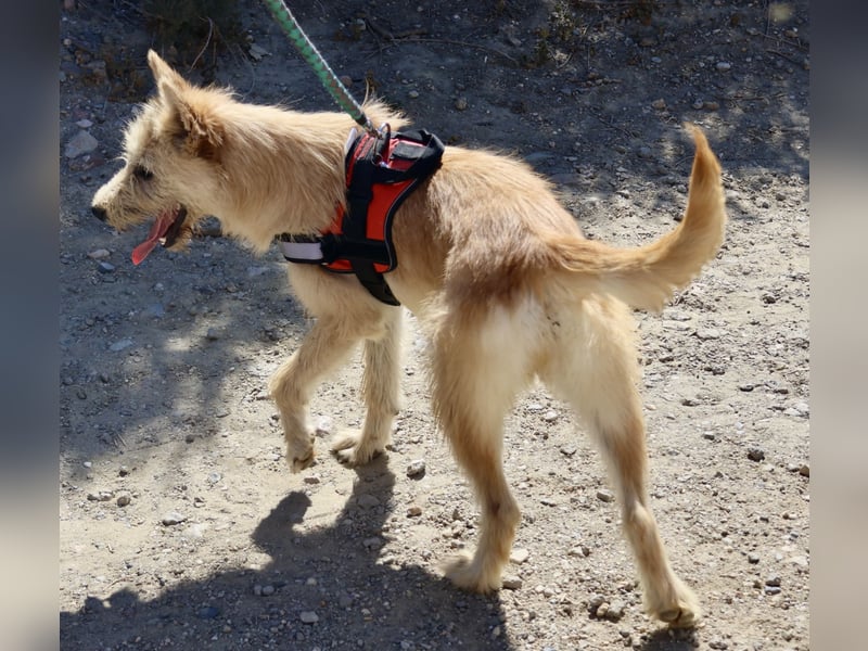 Lady, offen, freundlich und zutraulich / reserviert