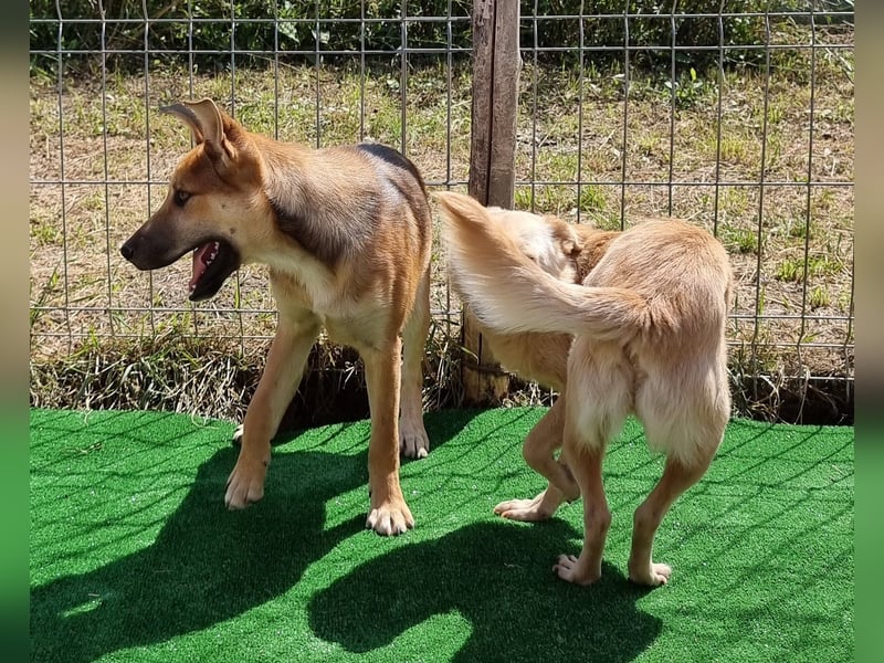 Gianna - vorsichtig und freundlich