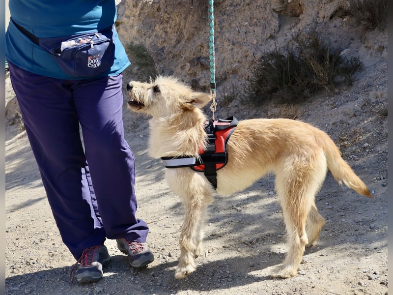Lady, offen, freundlich und zutraulich / reserviert