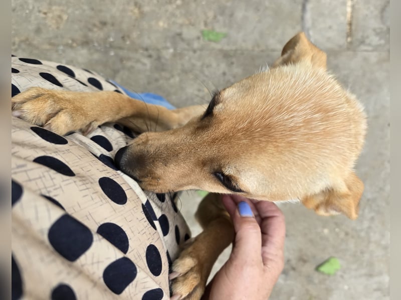 Suki - offen und neugierig