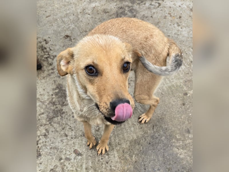 Suki - offen und neugierig