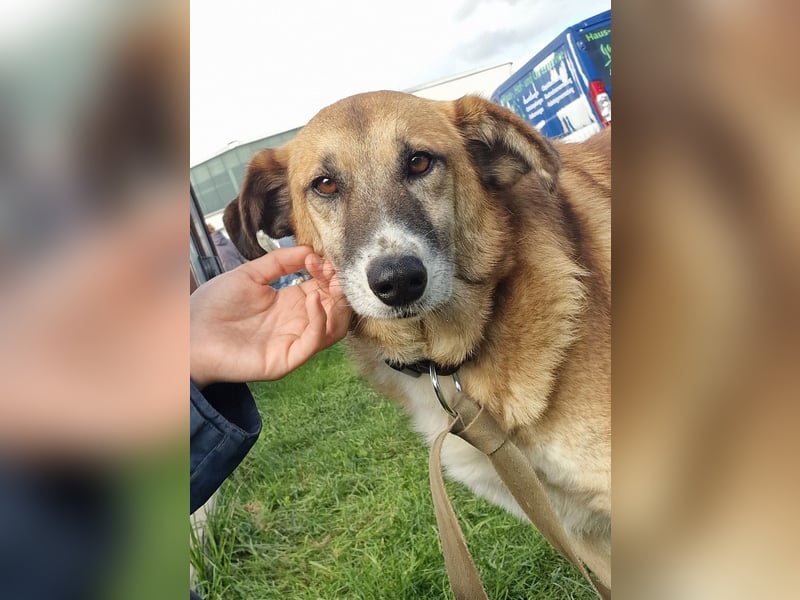 Violet - entspannte Begleiterin - BEREITS IN DEUTSCHLAND